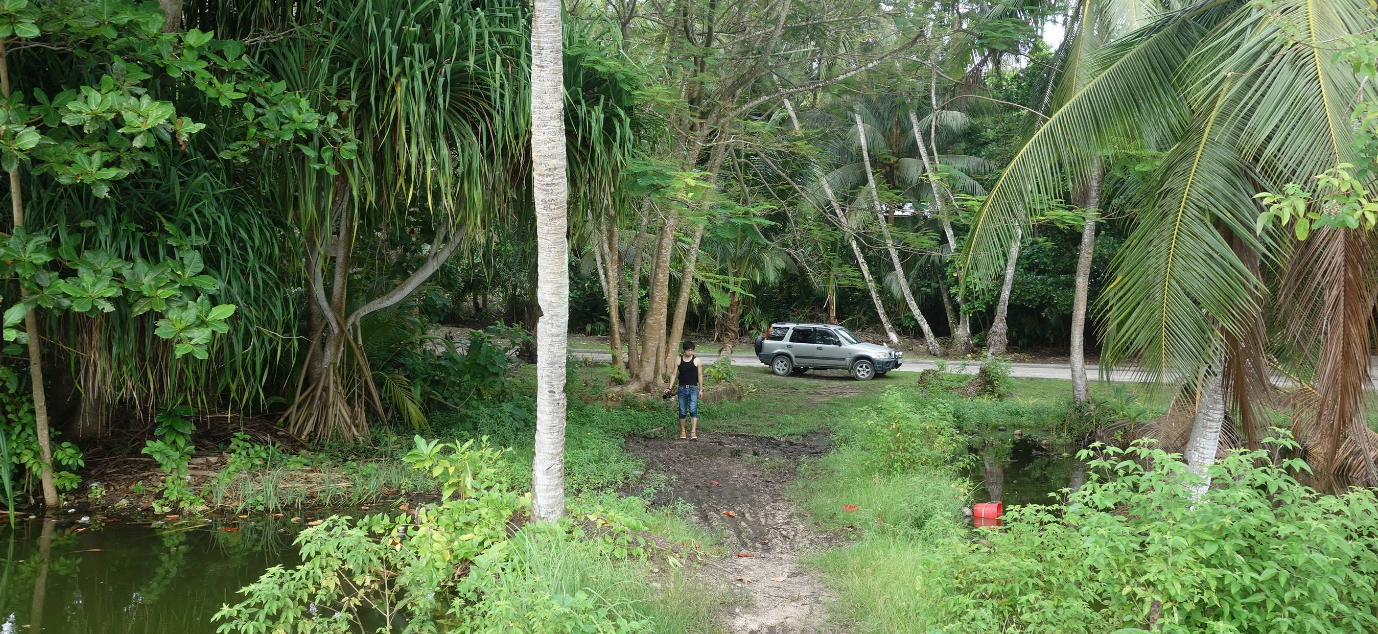 Possible Filming Locations